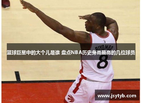 篮球巨星中的大个儿是谁 盘点NBA历史身高最高的几位球员