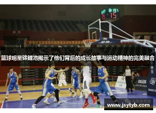 篮球明星锦鲤池揭示了他们背后的成长故事与运动精神的完美融合